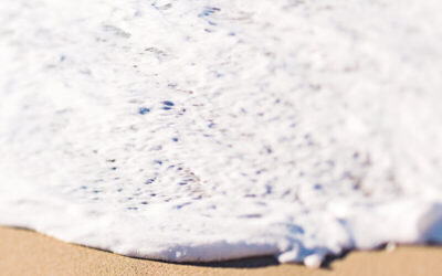 Pouvoir des Mots et Mémoire de l&rsquo;Eau